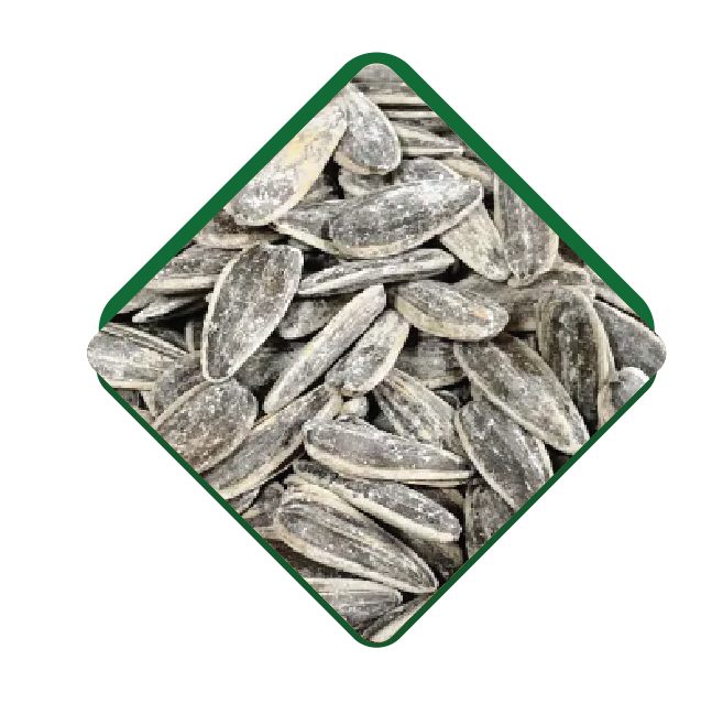 Salted Dakota Seed